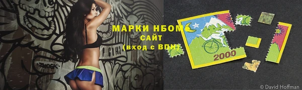 твердый Арсеньев