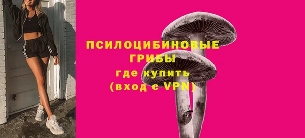 твердый Арсеньев