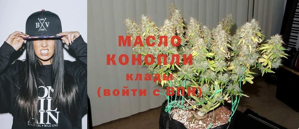 твердый Арсеньев